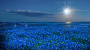 На небе жил прекрасный ангел.mp4