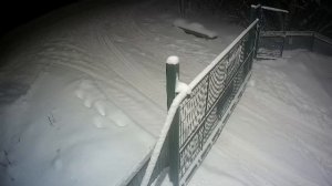 LIVE: channel74055310