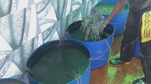 Несложный процесс изготовления кипятильников