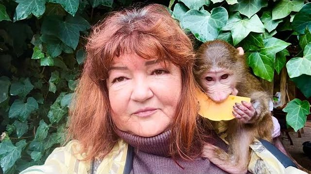 У Степы и Мани убрали вольер и тут пришли мы с Анфисой и вкусняшками и СНОВА БАРДАК😁 смотреть онлайн