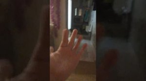 игра тугонялки от собаки дома