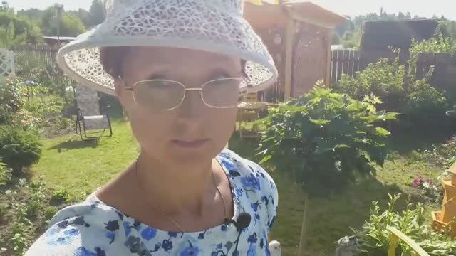 Видео привет с курорта 6 соток 23 июня 2021 года смотреть онлайн