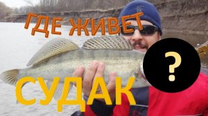 В поисках судака