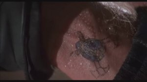 Кобра фильм нарезка