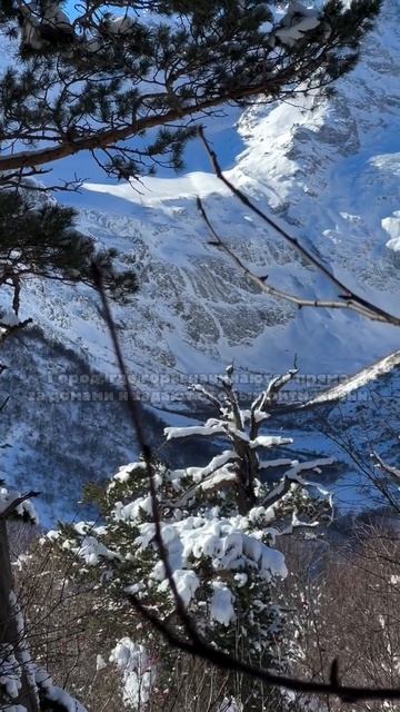 Владикавказ — город гор и внутреннего покоя