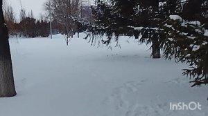 Кормушки для птиц.