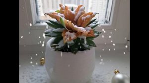 все части с растениями.mp4