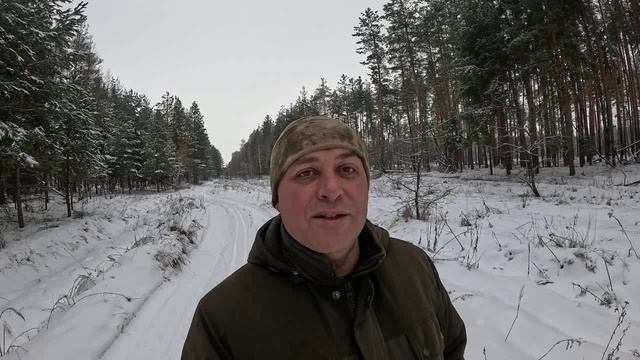 Рождественский лес! смотреть онлайн