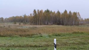 Первый снег под Тюменью