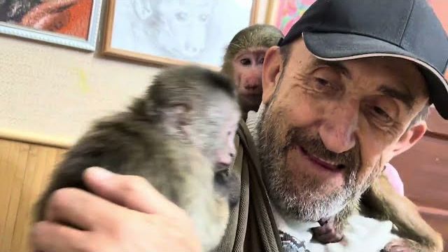 Финик скидывает Анфису с папы , но Анфиса прячется и не сдает своих позиций! смотреть онлайн