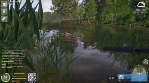 Озеро Медное! Карпы и лини!