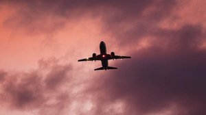 В аэропортах Домодедово и Жуковский ввели ограничения на полеты