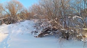 ОДНАЖДЫ ЯНВАРСКИМ УТРОМ