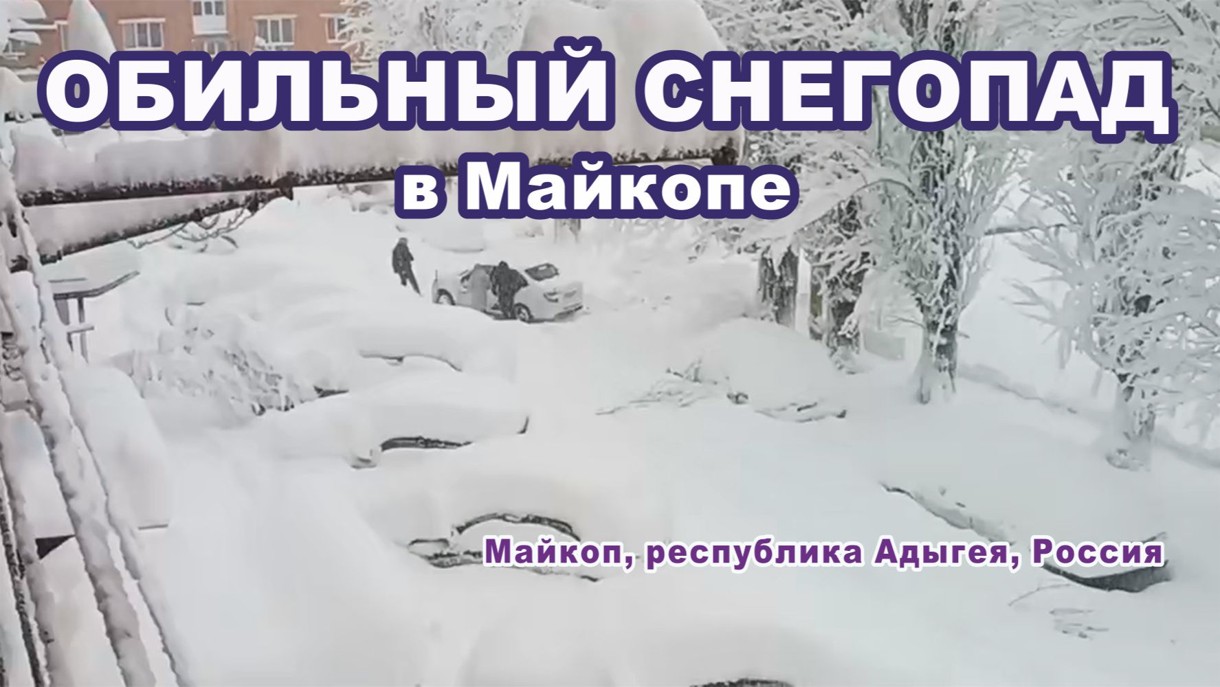 Обильный снегопад в Майкопе. Республике Адыгея, Южный федеральный округ России. смотреть онлайн