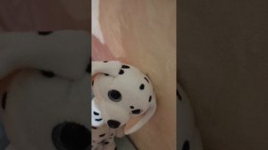 Обзор подарков сестры Евы от деда мороза