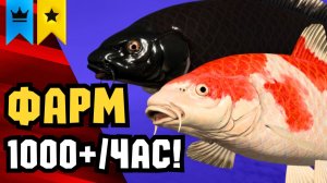 🤑 НОВЫЕ ТОЧКИ ФАРМА РР4! Раздача ТРОФОВ • ЗАДАНИЯ ЭКСТРА