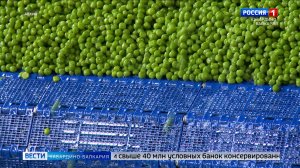 В КБР за год изготовили почти 60 млн условных банок консервированного горошка