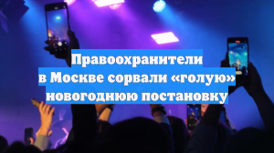 В баре Москвы полиция прервала показ эротической новогодней постановки