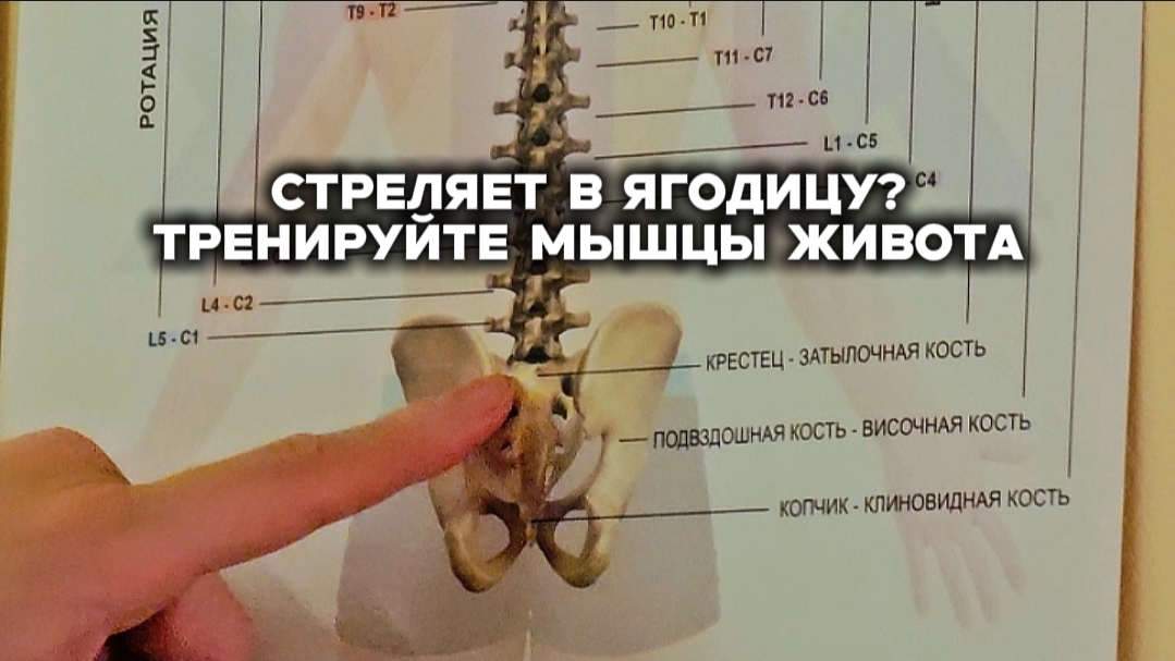 3 упражнения если вам стреляет в ягодицы смотреть онлайн