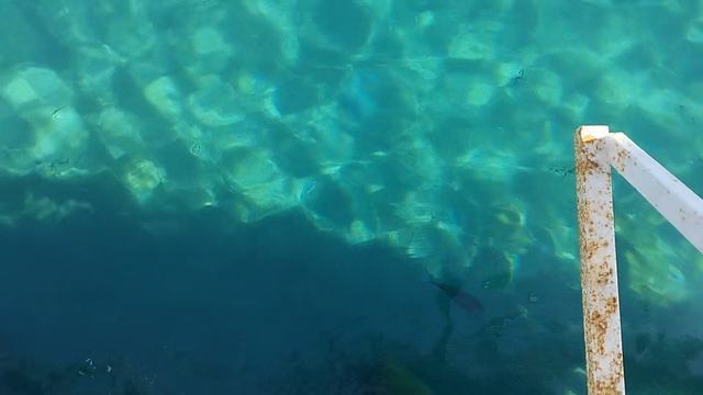 ЕГИПЕТ_2025_ШАРМ-ЭЛЬ-ШЕЙХ_ОТЕЛЬ-ВИКИНГ-КЛАБ_ПЛЯЖ-ДЖЕВЕЛ_1 смотреть онлайн