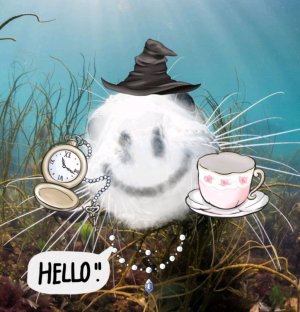 обзор на гаджеты