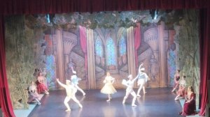 VID2026 Сегодня я был на Балете Лебединое озеро