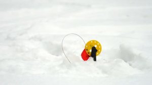 Поймал живца, ЗАРЯДИЛ ЖЕРЛИЦЫ и ОСТАВИЛ ИХ НА НОЧЬ _ Будет ли щука_