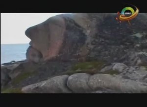 "Секретные материалы".  ТРК МИР