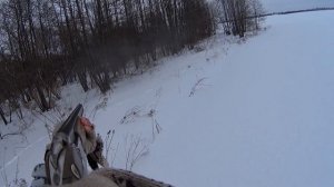 ОХОТА НА ЗАЙЦА. ЛЕНИВЫЙ ЗАЯЦ.