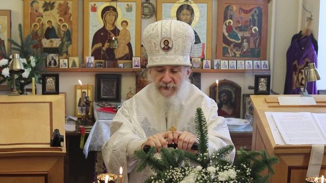 Проповедь епископа Амвросия (Тимрота) на Рождество Христово, 7 января 2026 смотреть онлайн