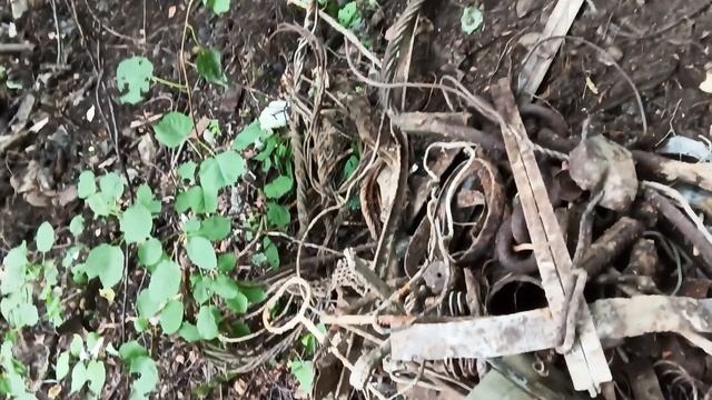 Утро третьего дня поиска металла на интересном месте в лесу смотреть онлайн