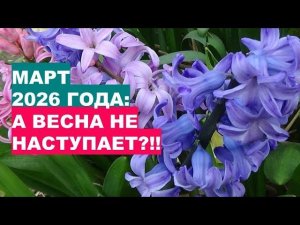Март 2026: Почему Весна не ПРИХОДИТ?!!