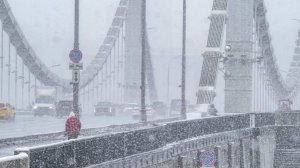 Москвичей предупредили о снежном армагеддоне