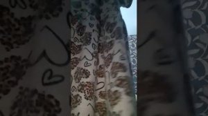 я в роле папы