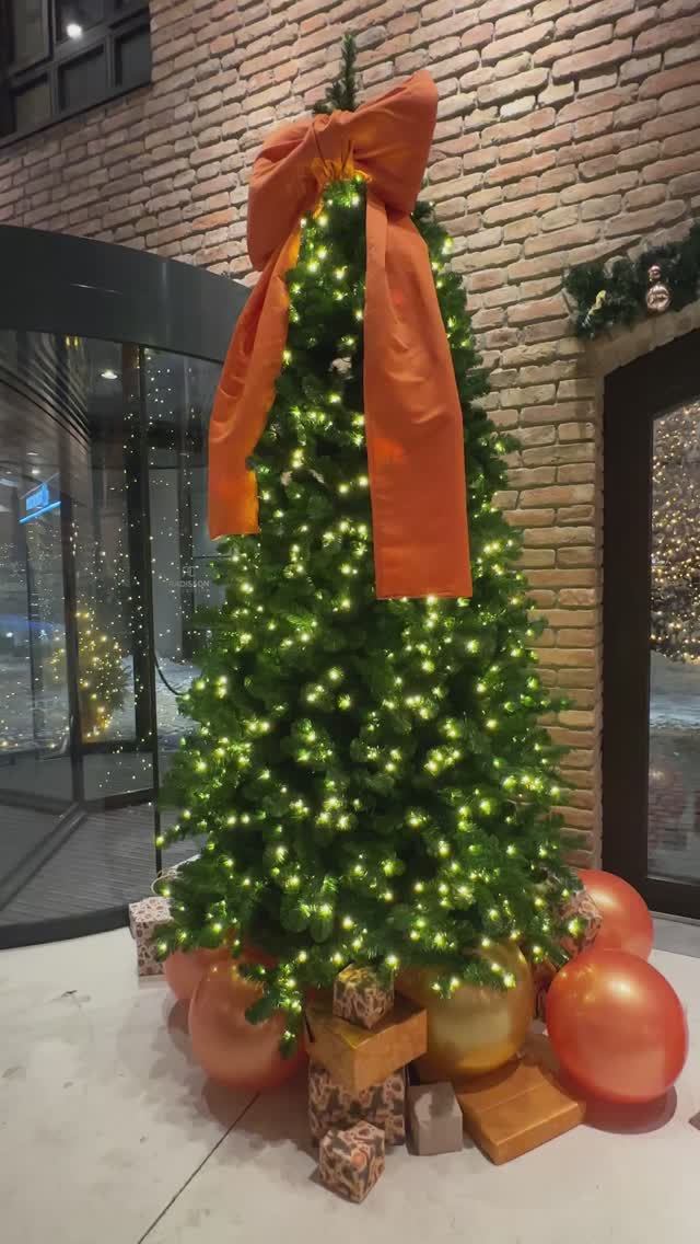 Сербия январь 2026 смотреть онлайн