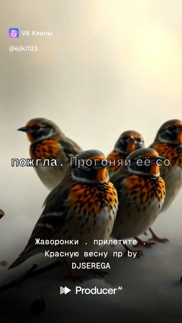 vkclips_20260104092601