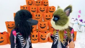 Настя и Ева учат алфавит на Хеллоуин [get.gt]