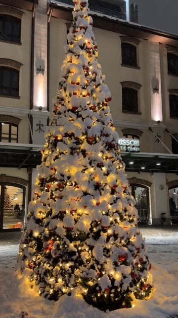 Сербия 2026 январь смотреть онлайн