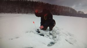 ПЕРВЫЙ ЛЁД В БЕЛАРУСИ. ОТКРЫВАЮ СЕЗОН. РЫБАЛКА НА ЖЕРЛИЦЫ 2026!