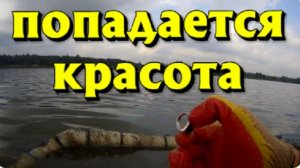 Поиск на пляже с XP ORX, что можно найти!