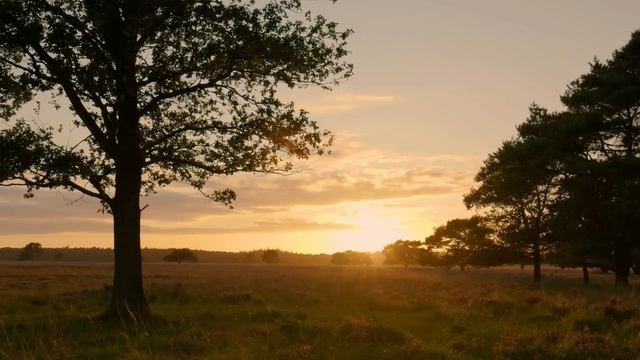 Ты у меня одна такая смотреть онлайн