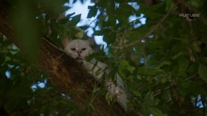 дидюшкино лайф 5 серия обзор