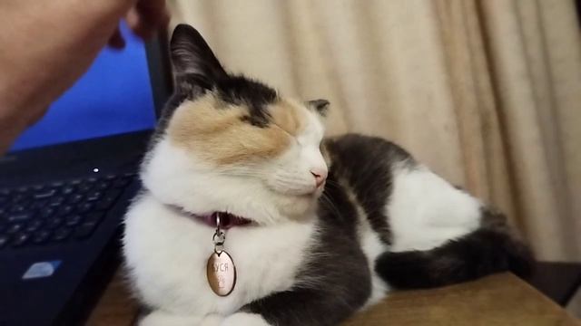 Блаженство