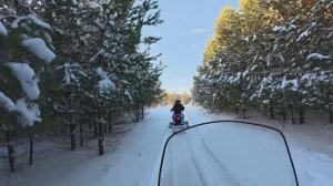 «Сухая река» прогулка на снегоходах