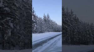 1099,🎼 «На севере» -Анатолий Полотно