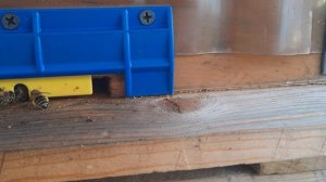 Хорошо это или плохо,когда 7 янввря температура плюс 16 !!!???