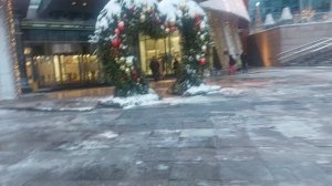 Московский метрополис