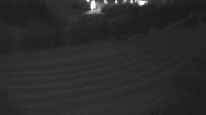 LIVE: channel72300343