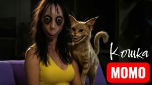 Момо превратилась в кошку.  Страшилки.