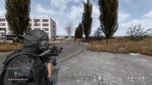 DayZ Lite PVE. Охота, рыбалка, мутанты | Мутанты | #dayz #dayzlitepve #qwertysev